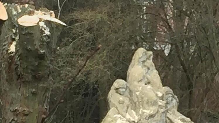 "Werden - Sein - Vergessen"- der Titel des Denkmals in der Karl-Hoch-Anlage trifft auch auf so manchen Baum in dessen Umgebung zu. Foto: pr