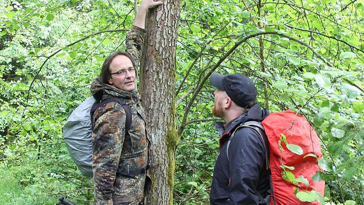 Stefan Friedrich (links) und Stephan Amm an einer Schwarzerle, in die ein Buntspecht seine Höhle gebaut hat. In etwa zweieinhalb Metern Höhe liegt sie relativ nah am Boden.  Foto: Friedwald Schedel