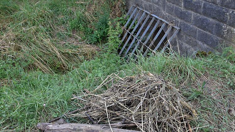 In Obertheres hat die Gemeinde Theres Probleme bei Starkregenereignissen. Unter anderem deshalb, weil der Rechen am Riedengraben am "Rentnerweg" (im Bild) immer schnell mit Ästen und Gras (im Vordergrund) verstopft ist, so dass das Wasser über die Klosterstraße in einige Anwesen fließt und darüber hinaus auch Anlieger der Peter-Wagner-Straße beeinträchtigt.