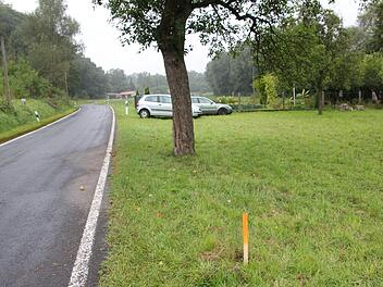 Dieser Apfelbaum soll dem geplanten Ausbau der Staatsstraße zwischen Kirch- und Weikertslauter weichen. Der Eigentümer spielt da aber nicht mir.