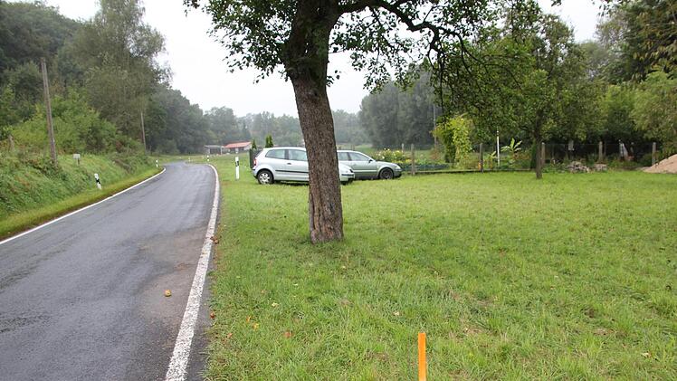 Dieser Apfelbaum soll dem geplanten Ausbau der Staatsstraße zwischen Kirch- und Weikertslauter weichen. Der Eigentümer spielt da aber nicht mir.