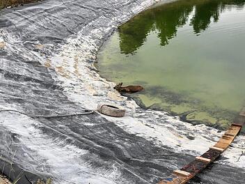 Vier Meter tief ist das Wasser in dem Beregnungsteich. Auf dem Foto ist das Reh zu sehen, das sich zuletzt am Beckenrand aufhielt.