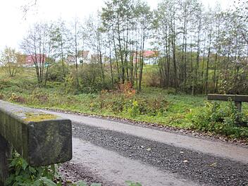 Der Ausbau des Weges in Richtung Lützelebern als Nordzufahrt zur Mannlehen-Siedlung bereitet den Eberner Stadträten Kopfzerbrechen.   Foto: Ralf Kestel