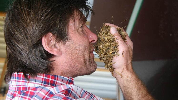 Hubertus von Künsberg macht die Probe aufs Exempel: Die eingewogene Silage riecht kein bisschen unangenehm, sie hat den typischen Gärungsgeruch ähnlich wie Sauerkraut - denn Milchsäurebakterien sind am Werk.