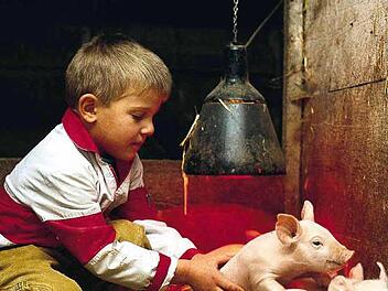 Ländliche Unterkünfte mit Familienanschluss und Tiere zum Anfassen gehören zum Agrotourismus. Foto: Archiv