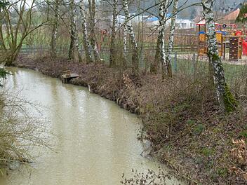 Dem Wunsch der Rother Bürger auf ein Flussbad im Füllbach am Kinderspielplatz wurde eine Absage erteilt.
