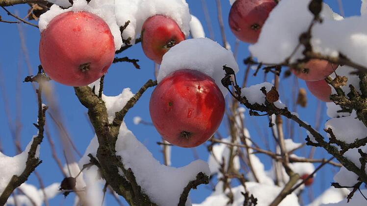 eingesandt von Stefan Lehner.