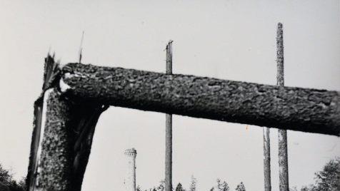 Wie wenn eine Bombe eingeschlagen hätte: Der Bereich zwischen der Arnoldhütte und dem Prinzregententurm auf dem Muppberg Repro/Foto. Dieter Seyfarth