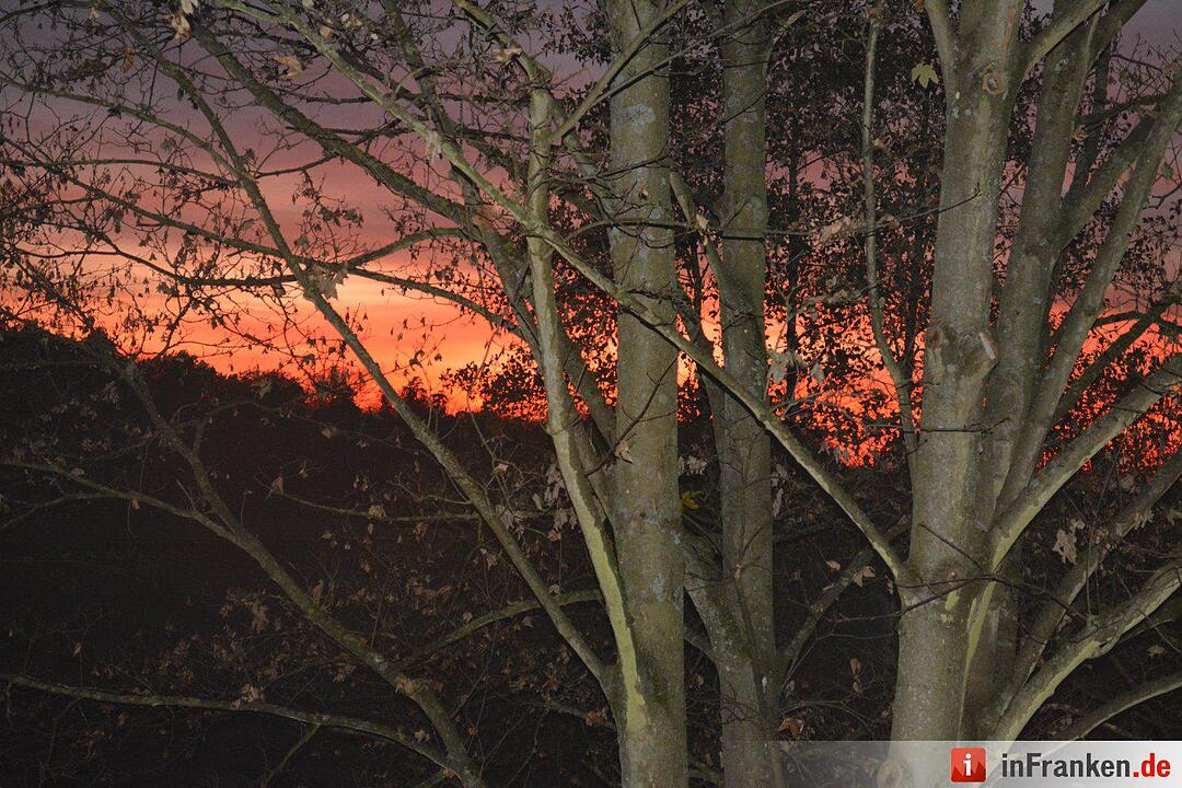 Abendrot vom 8.11.2015 - Die Bilder unserer Leser