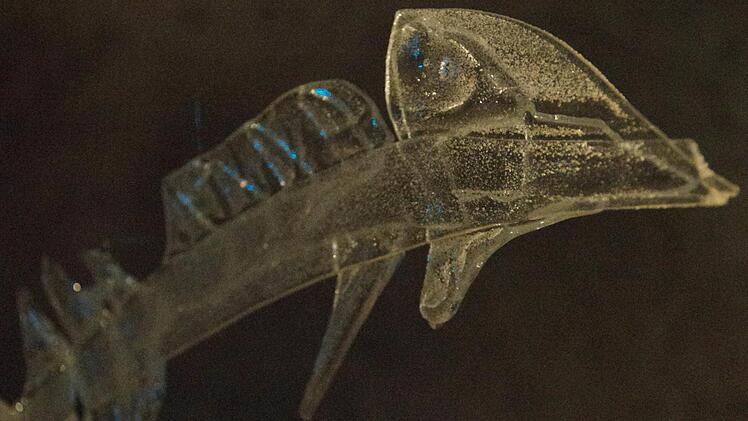 Winfried Wunderlich zeigt "UNTENoben". Foto: Marco Meißner