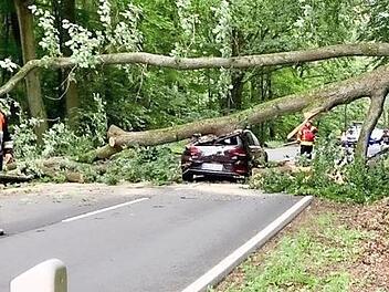 Der VW wurde unter der strammen Eiche begraben.  Foto: Feuerwehr Kronach