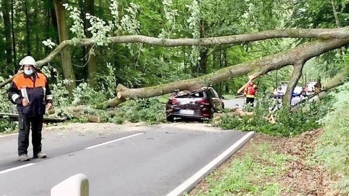 Der VW wurde unter der strammen Eiche begraben.  Foto: Feuerwehr Kronach