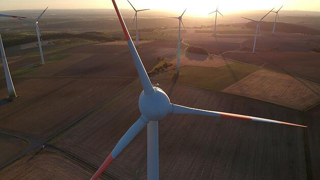 Der Roßbacher Forst könnte Windkraft-Standort werden. Foto: Archiv/Max Flegel