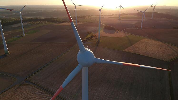 Der Roßbacher Forst könnte Windkraft-Standort werden. Foto: Archiv/Max Flegel