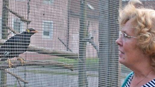 An der Voliere unterhält sich Brigitte Benkert mit "ihrem Beo". Der hält den Kopf etwas schief, so als ob er dann bessern zuhören könnte und schon kurz darauf gibt es eine Antwort oder einen schrillen Pfeifton.  Foto: Friedrich