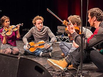 Das Feuerbach Quartett kommt am 14. Oktober in die Mehrzweckhalle nach Großenseebach.  Foto: PR