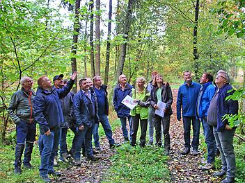 Der Marktgemeinderat Maßbach unternahm einen zweistündigen Marsch durch  Teile des Gemeindewaldes. Der Blick nach oben zeigte sehr oft Schäden durch  Trockenheit, Hitze oder Schädlinge.  Foto: Dieter Britz
