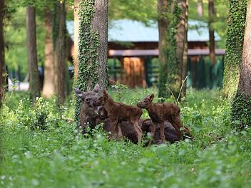 Fünf Franken-Highlights, die keinen Eintritt kosten
