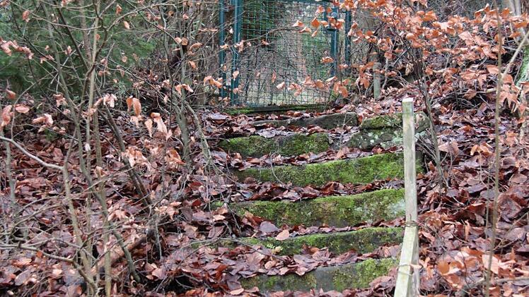 Das Gartengrundstück oberhalb gehört zum Areal.