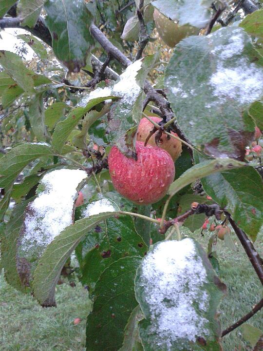 Erster Schnee in Franken