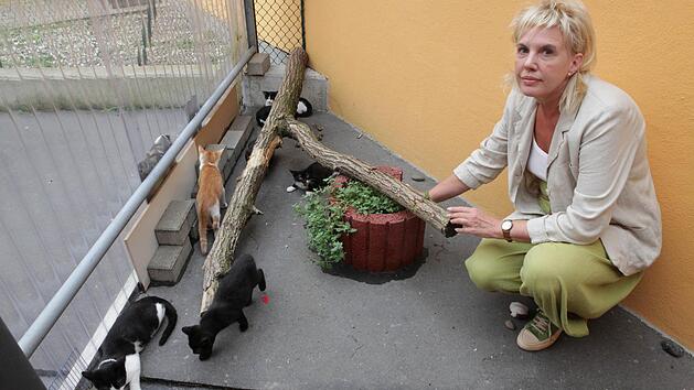 Die Stellvertretende Vereinsvorsitzende Marion Hymon-L&ouml;ffler mit kleinen Katzen, die sich hier im Au&szlig;enbereich eines  Katzenzimmers versammelt haben. Alle Fotos: Barbara Herbst