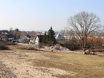 Auf diesem Areal in Höchstadt sollen sechs Wohnhäuser entstehen. Der Müllfund bremst diese Pläne erst einmal. Foto: Andreas Dorsch