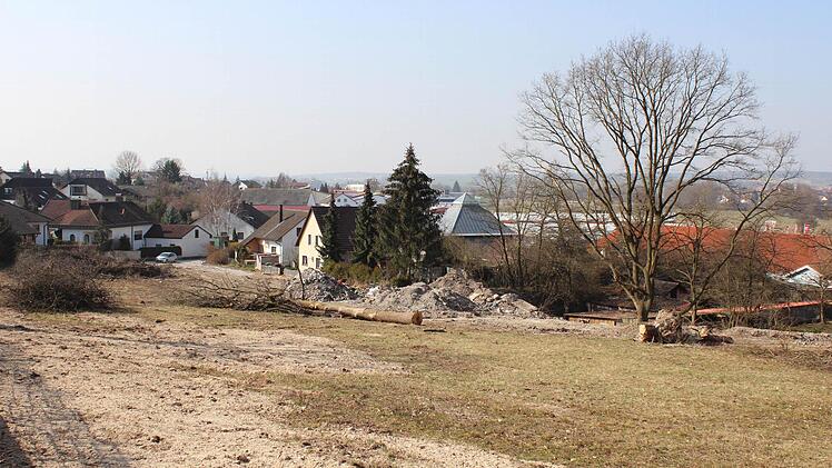 Auf diesem Areal in Höchstadt sollen sechs Wohnhäuser entstehen. Der Müllfund bremst diese Pläne erst einmal. Foto: Andreas Dorsch