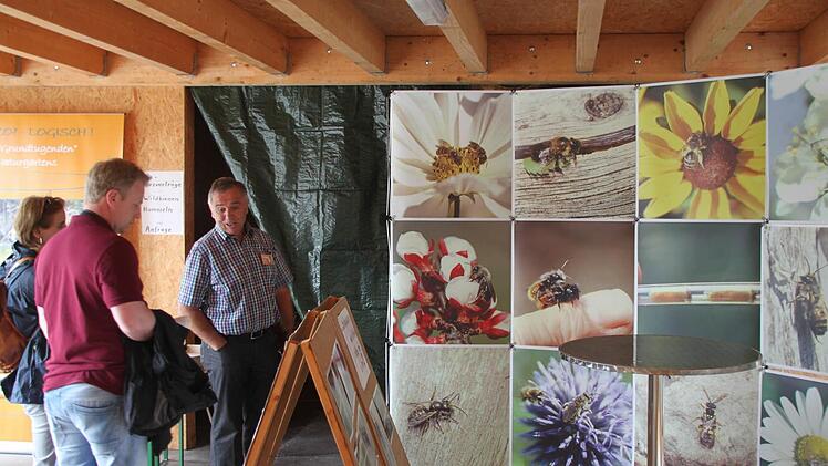 Der Kreisverband für Gartenbau und Landespflege Kulmbach setzt auf "Mehr Natur im Garten" - vor allem für Hummeln und Wildbienen.  Foto: Jürgen Gärtner