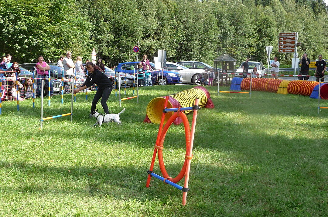 19.8.2017 Tierheimfest Kulmbach