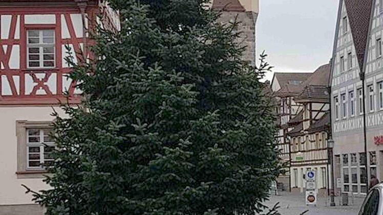 Der Christbaum am Alten Rathaus steht bereits.  Foto: Richard Sänger