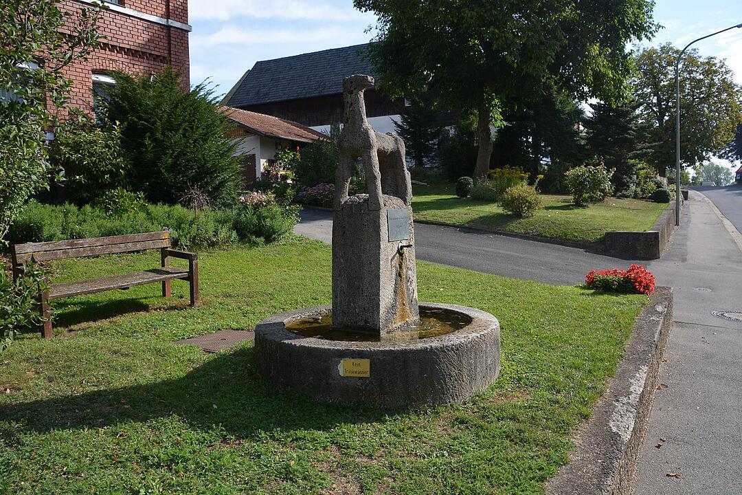 16.09.2015  Fotoreportage Fechheim