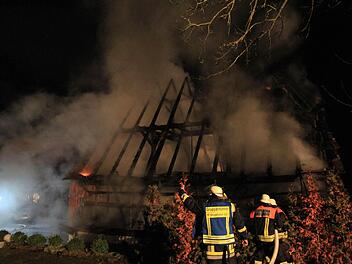 Foto: NEWS5 / Merzbach