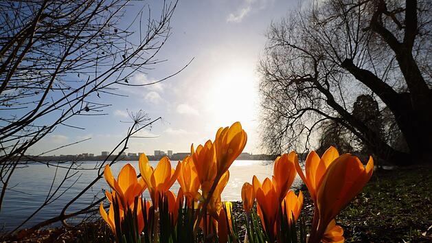 Fr&uuml;hling an der Alster