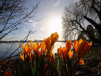 Fr&uuml;hling an der Alster