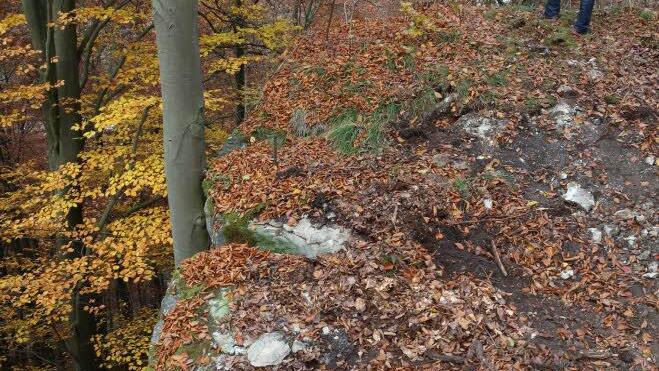 Noch hält der Wagner-Fels. Die Stadt Waischenfeld will aber nichts riskieren und lässt den rund 350 Tonnen schweren Klotz in den nächsten Wochen von einer Spezialfirma sichern. Foto: Barbara Herbst