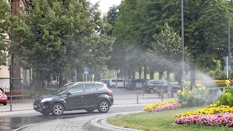 Bewässerte Blumen und Autos am Wilhelmsplatz Foto: Stefan Fößel
