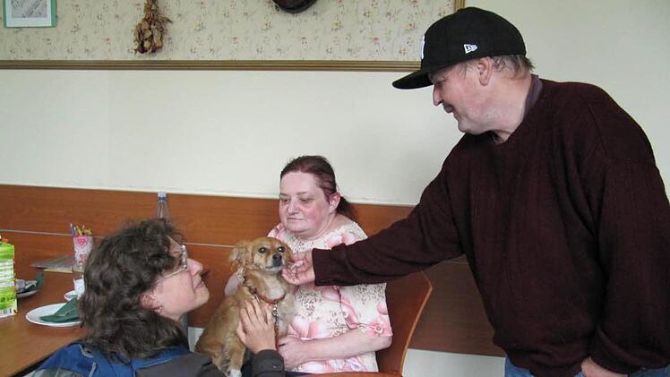 Chihuahua-Mischling "Tilda" sitzt gerne auf dem Schoß und genießt das Streicheln. Fotos: Monika SChütz