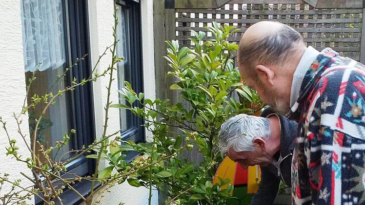 Einen Oster- und Kräutergarten haben die Bewohner des Seniorenheims Sinntal in ihrem Innenhof angelegt. Foto: Gudrun Friedrich-Kleine
