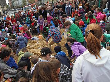Viele Kinder suchten am Samstag im größten Osternest...Fotos: Gerda Völk
