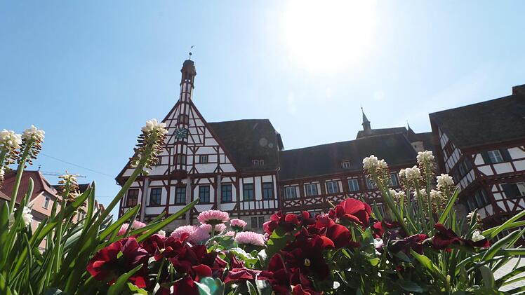 Schon jetzt hat Forchheim  gartentechnisch einiges zu bieten. Ab 2026  könnte eine Landesgartenschau    hinzukommen: Die Stadträte  im    Planungsausschuss  waren  einstimmig für  dieses Stadtentwicklungsprojekt. Josef Hofbauer