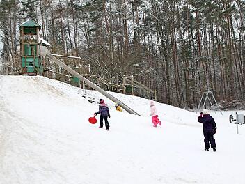 Der Wald im Bereich des Abenteuerspielplatzes in Höchstadt-Süd wäre geeignet.