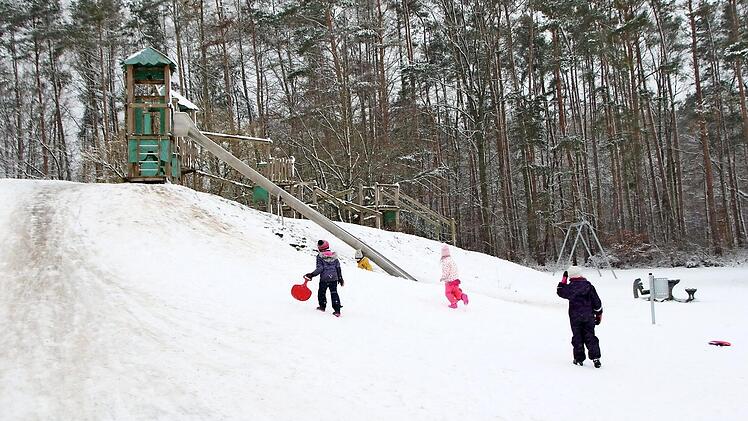 Der Wald im Bereich des Abenteuerspielplatzes in Höchstadt-Süd wäre geeignet.
