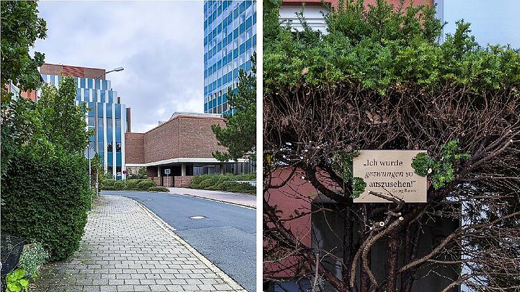 Stadt Erlangen verlangt Busch-Beschneidung - Hotel reagiert mit Humor: "Sch&auml;me mich f&uuml;r diesen Anblick"