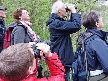 Interessiert griffen die Teilnehmer des Vogelstimmenkurses immer wieder zum Fernglas, um die gefiederten Solisten aus der Nähe zu beobachten und nicht nur ihre schönen Stimmen, sondern auch ihre bunten Kleider zu bewundern. Foto: K.- H. Hofmann