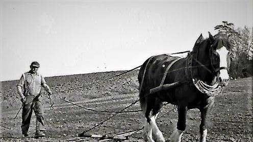 Die Landwirtschaft prägte weite Teile des Frankenwaldes. Repro: Gerd Fleischmann