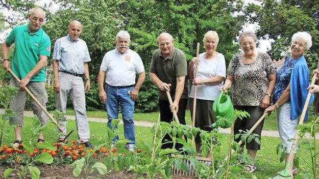 Zusammen wachsen - gemeinsam aufblühen: Dieses Wettbewerbs-Motto setzen viele Bürger in die Tat um. Unter das Team der Kitzinger "Tafel" hat sich Hilmar Hein (städtischer Verantwortlicher für "Entente Florale", 2. von links) gemischt. Zu Hacke, Gießkanne und Rechen greifen Karl Sennert, Manfred Seigner (Tafel-Vorsitzender), Arno Ewert, Carola Stetting, Helene Schamann, Liselotte Lutz und Anna Ewert.