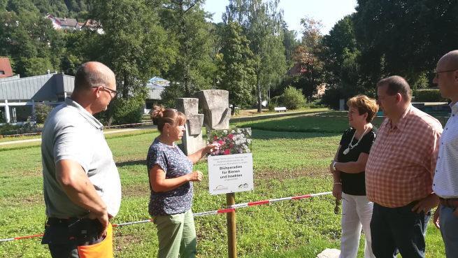Kornelia Marzini von der Bayerischen Landesanstalt für Weinbau und Gartenbau (2. von links), erläutert, wie sich die neue Blühfläche im Georgi-Park in Bad Brückenau entwickeln wird. Foto: Uwe Schmidt