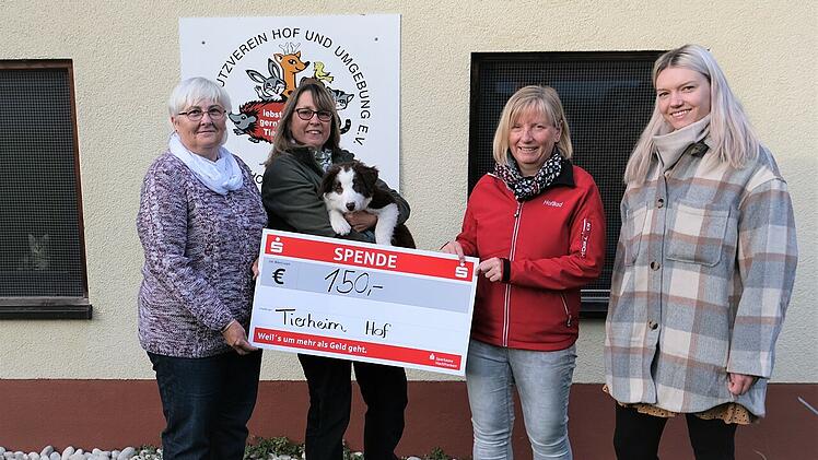 Tierheim Hof freut sich über Spende