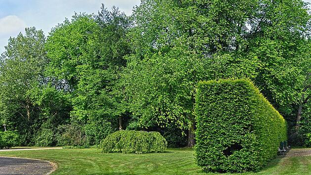 Ein Park ist ein Ort der Erholung - im Festspielpark Bayreuth erwartet dich eine besondere Atmosph&auml;re.