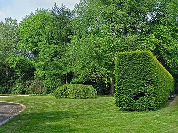 Ein Park ist ein Ort der Erholung - im Festspielpark Bayreuth erwartet dich eine besondere Atmosphäre.